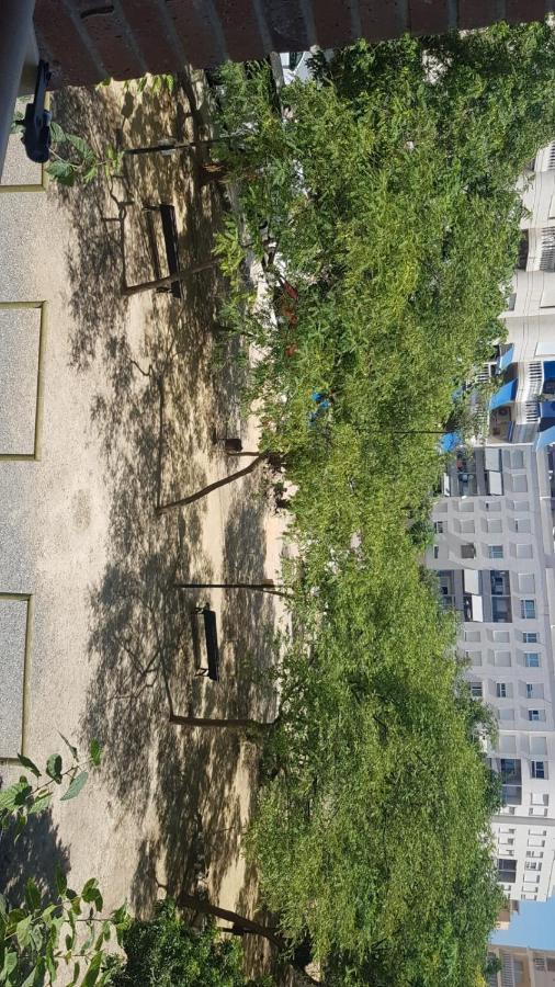 Apartamento En Campello A 250M De La Playa エル・カンページョ エクステリア 写真